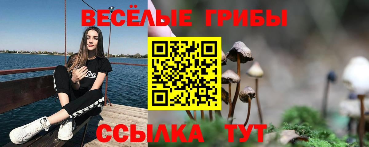 Кострома  Галлюциногенные грибы Magic Shrooms  Вход с VPN  Галлюциногенные грибы мухоморы 